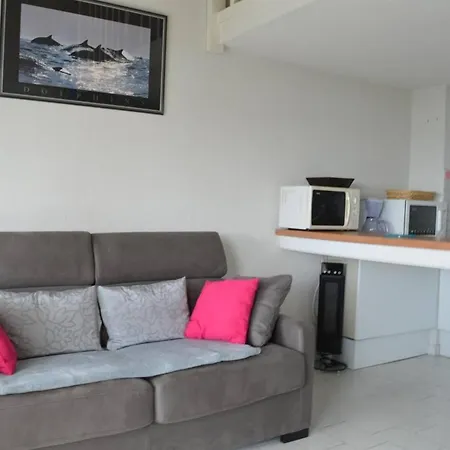 Apartman 2 Pieces 4 Couchages Sur Ar250-403